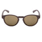 Cradle Sunglasses - Eucalyptus/Shadow