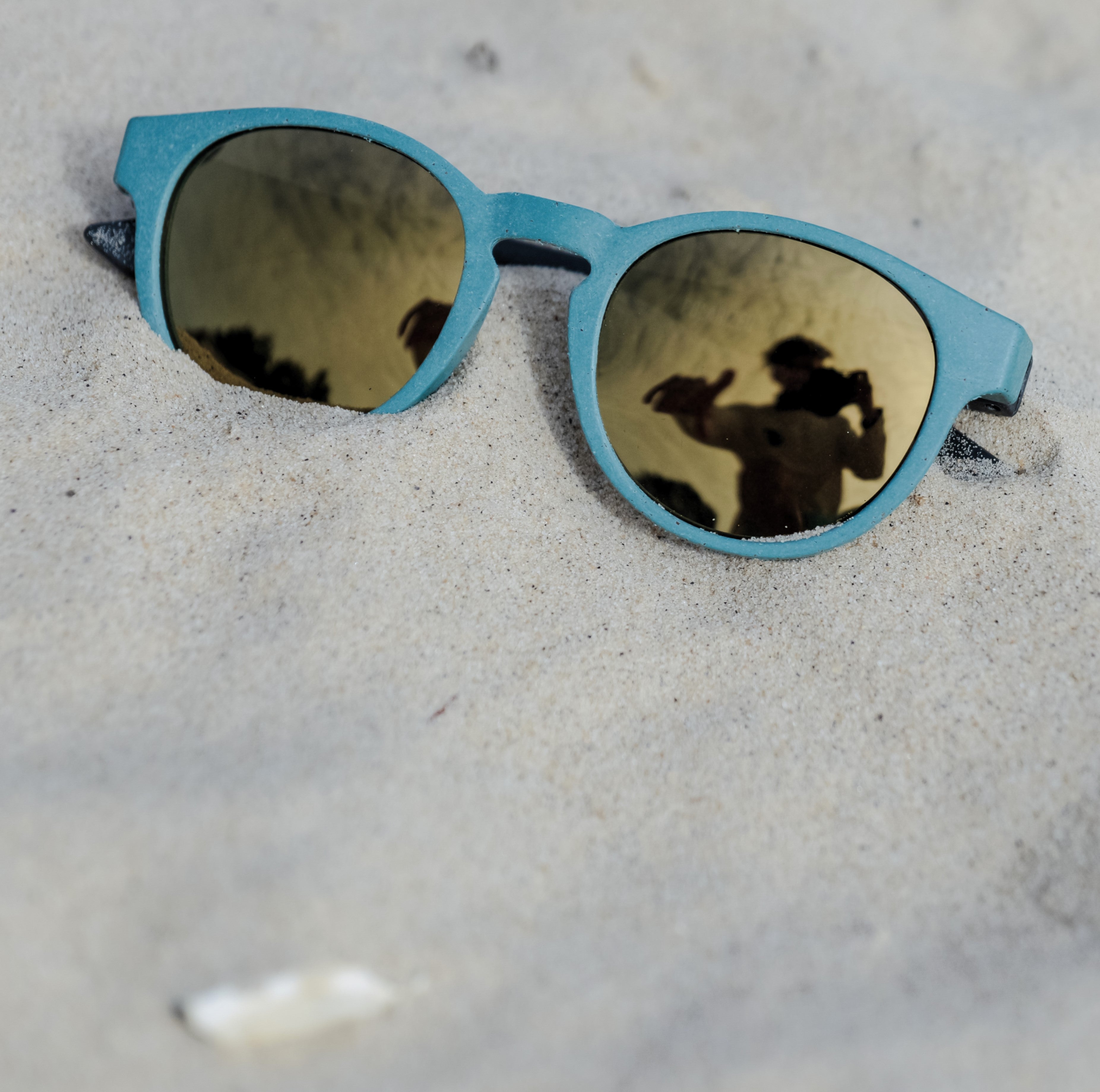 Cradle Sunglasses - Eucalyptus/Shadow