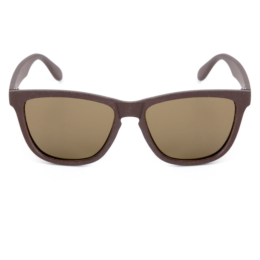 Wilpena Sunglasses - Coffee