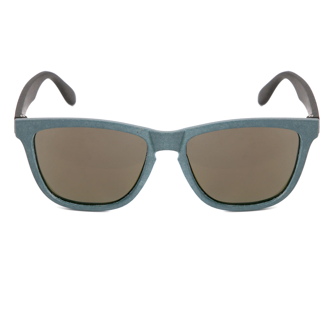Wilpena Sunglasses - Eucalyptus/Shadow